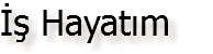 İş Hayatım